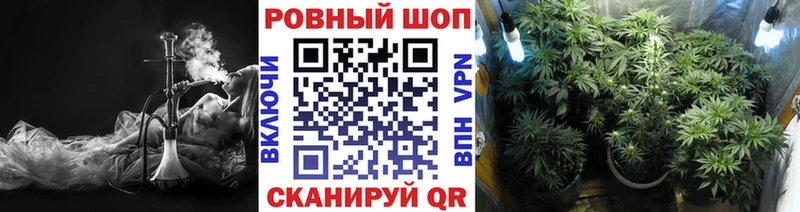 Магазины продажи наркотиков Ясный APVP  МЕФ  Бошки Шишки 