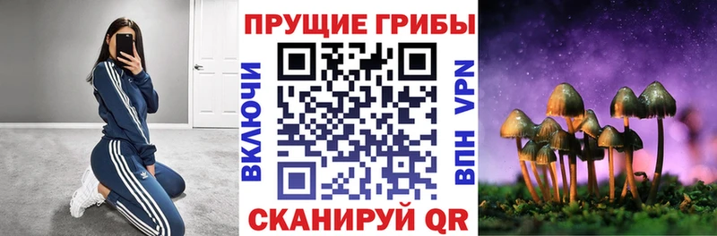 Псилоцибиновые грибы Magic Shrooms  Ясный 
