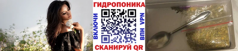 гидра зеркало  где купить наркоту  Ясный  Марихуана тримм 